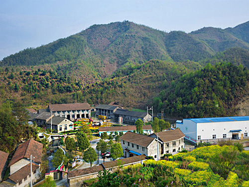 热烈祝贺九州手机登录入口_九州（中国）正式上线！