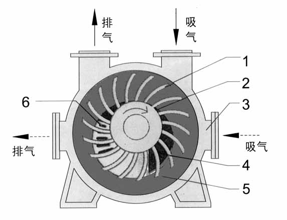 2BE1水环式九州手机登录入口_九州（中国）结构图
